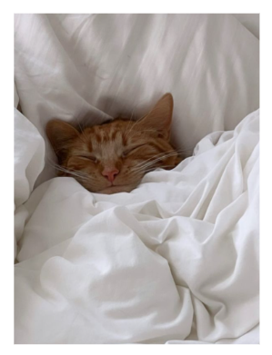 Dicas para o 3º Período -descansar 